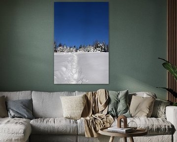 Footprints in the snow by Claude Laprise