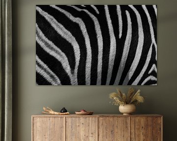 Zebra Close-Up: Unique Pattern from Africa by Ian Schepers