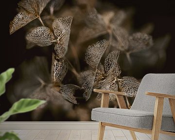 Hydrangea dried flower by Karin Bakker Fotografie