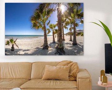Palm beach on the Costa del Sol by Voss photography