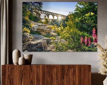 Pont Du Gard by Voss photography