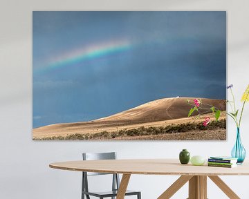 Rainbow over the Spanish-Canary island of Lanzarote by Harrie Muis