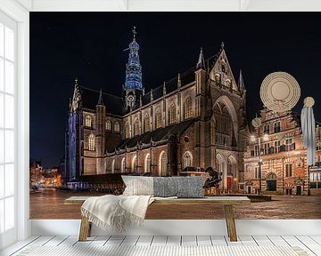 Sint-Bavokerk & Frans Halsmuseum in Haarlem