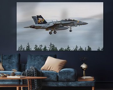 Landende U.S. Navy Boeing EA-18G Growler. van Jaap van den Berg
