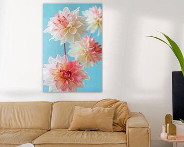 Dahlia composition in pastel colour