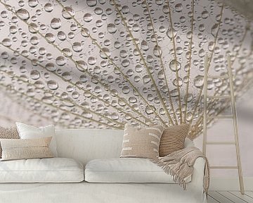 Pastel colours in the morning: Water droplets hang from a fluffy fabric by Marjolijn van den Berg