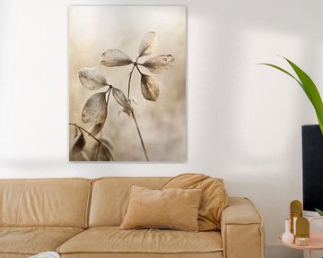 Zachte flora nr. 09 van Treechild