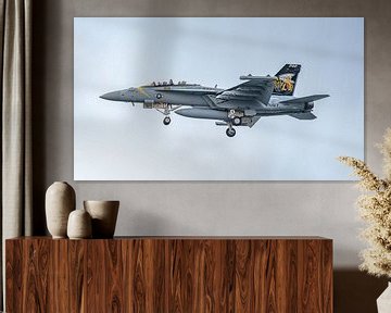 Landende U.S. Navy Boeing EA-18G Growler. van Jaap van den Berg