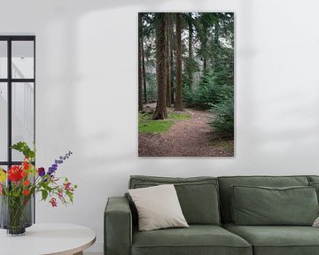 To let the forest speak by Anne Roos Van Veen