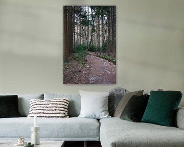 To let the forest speak van Anne Roos Van Veen