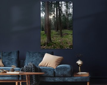 To let the forest speak van Anne Roos Van Veen