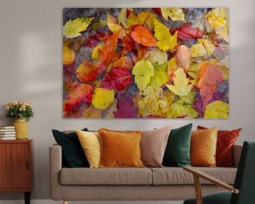 Autumn foliage in the garden by Claude Laprise