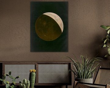 Étienne Léopold Trouvelot, ‘Partial Eclipse of the Moon’ in The Trouvelot Astronomical Drawings Manual, 1882. van Teylers Museum