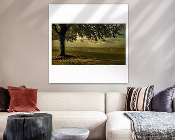 Arbre dans le cadre
