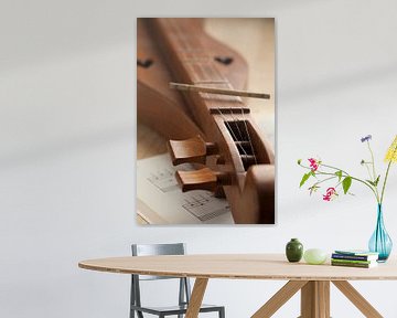 Een traditionele dulcimer, een snaar instrument van Frans Rombout