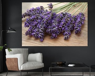 Bouquet de fleurs fraîches de lavande mauve, gros plan sur Frans Rombout