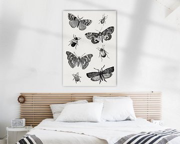 Insects collage van Fineline
