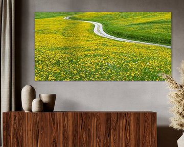 Pad door de gouden bloemenzee van Walter G. Allgöwer