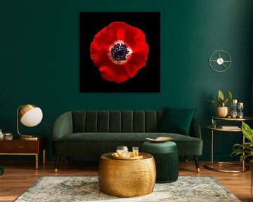Royal Flower van Sander Van Laar