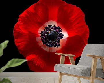 Royal Flower by Fine Art Flower - Artist Sander van Laar