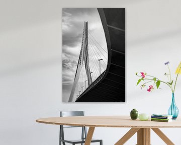Erasmusbrug van Nikita Sukhinin