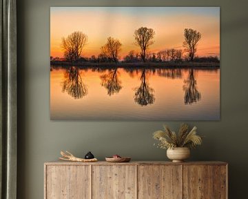 2 times 4 trees in the Maalwater by peterheinspictures