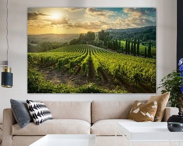 Toscaanse wijngaard zonsondergang. Casale Marittimo, Alta Maremma, Italië van Stefano Orazzini