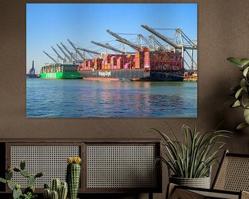 Containerschepen Ever Alp en Al Nefud meerden aan bij de containerterminal.
