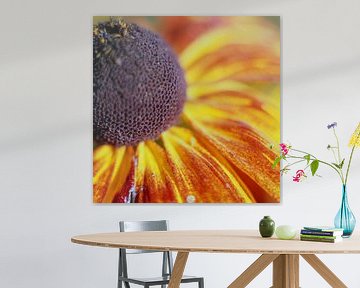 Zonnebloem van Helmut Neumann Blütenfotografie