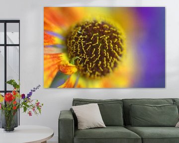 Zonnebloem van Helmut Neumann Blütenfotografie