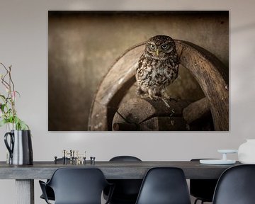 Steenuiltje op een Oud Wagenwiel – De Wijsheid van de Natuur van KB Design & Photography (Karen Brouwer)