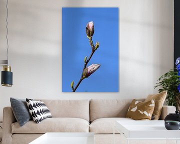 De Lente ontvouwt zich van Ingrid de Vos - Boom