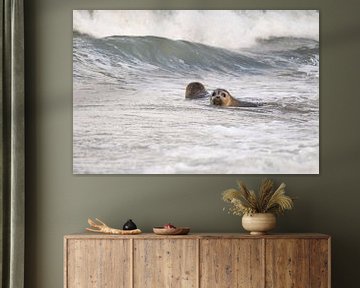 zeehonden in zee van Annelies Cranendonk
