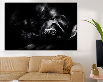 Slapende gorilla in lichtspel van Imperial Art House