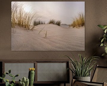 Duinen strand van Fotografie-Broenink