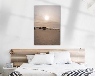 duinen kust van Fotografie-Broenink