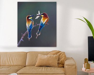 Bee-eater, Merops apiaster by AGAMI Photo Agency
