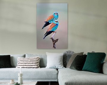 Scharrelaar, Coracias garrulus van AGAMI Photo Agency