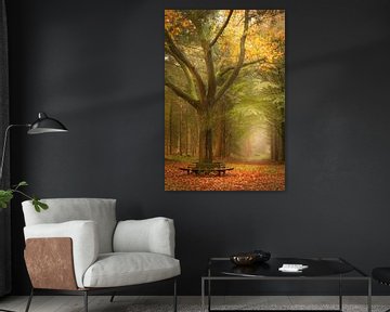 Bench in the Korteweg forest - autumn in all its glory by KB Design & Photography (Karen Brouwer)