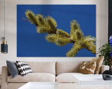 Waldweide gegen blauen Himmel von Miranda73
