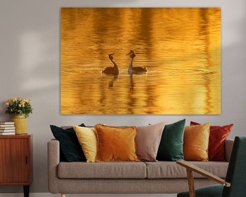 Bantering Grebes in the Golden Hour by Erik Veldkamp