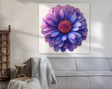 Aster Dämmerung von Chromatic Fusion Studio