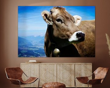 Cow by Patrick Kerkhoff