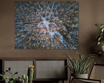 Luchtfoto van een besneeuwd bos met kale bomen van kautsar1 art
