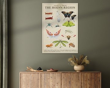 Insecten uit Hoenn van Steven Kingsbury