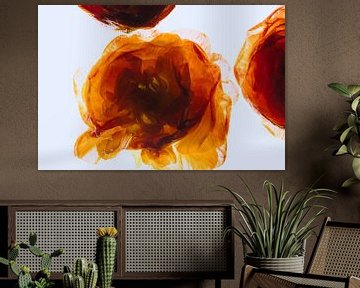 Oranje primula's in ijs van Marc Heiligenstein