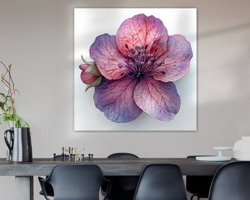 Clarkia Charme van Chromatic Fusion Studio