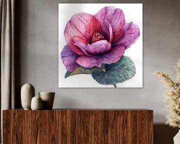 Cyclamen Genade van Chromatic Fusion Studio