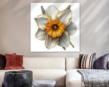 Daffodil Dawn by Chromatic Fusion Studio
