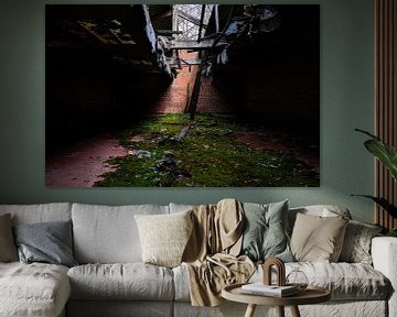 Lichtstraal door kapot dak op mosvloer van Peggy Raemdonck